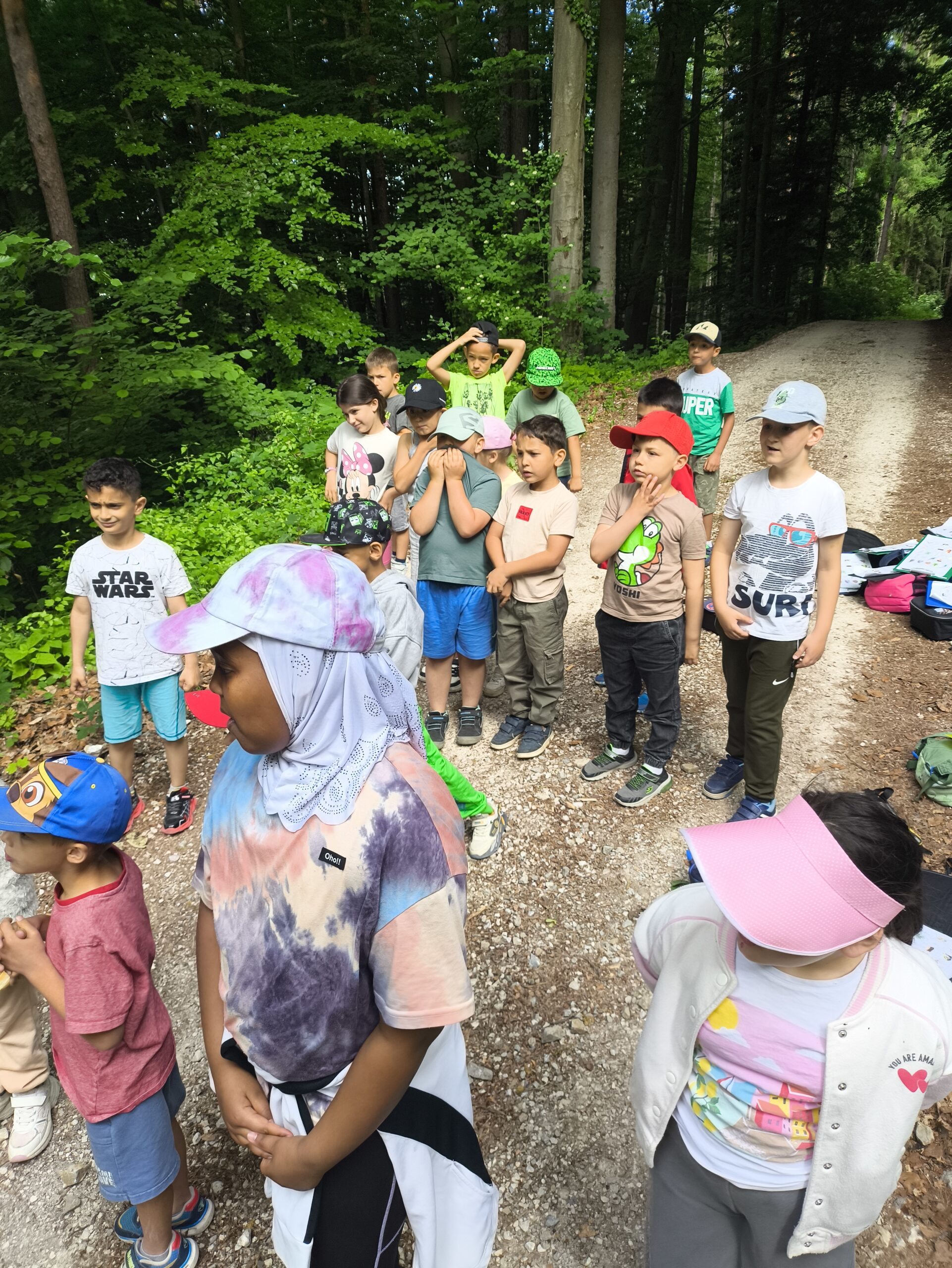 Deutschförderklasse – Lehrausgang im Wald