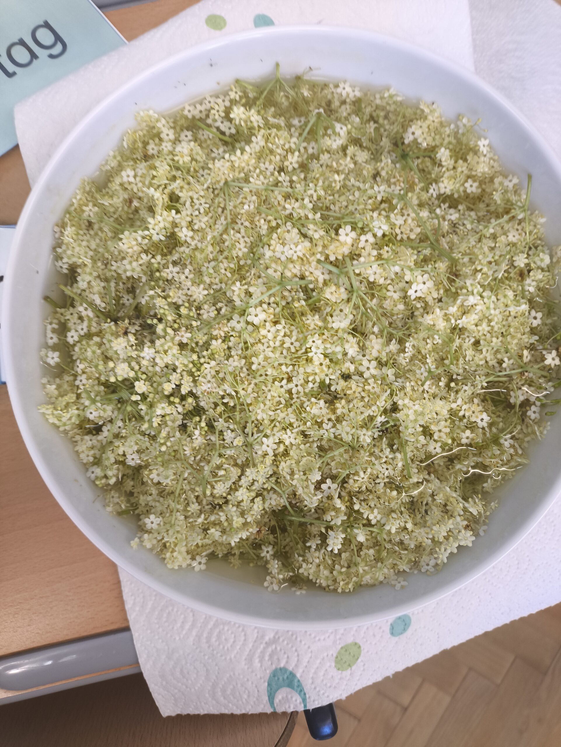 Deutschförderklasse – Hollersaft machen